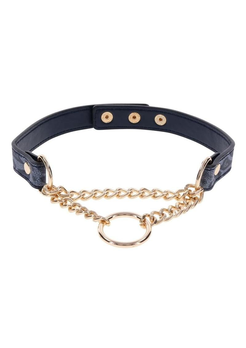Sex and Mischief Cougar Day Collar – Navy/Gold